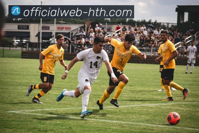 hth体育APP 高清赛事图